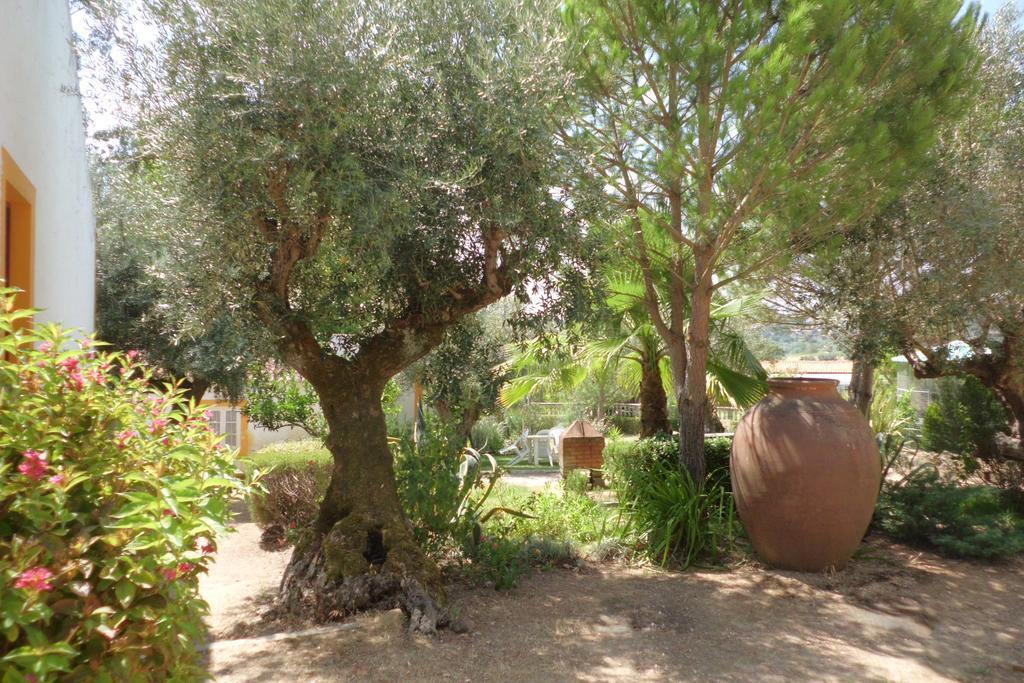 Quinta Do Pinhal Βίλα Constância Εξωτερικό φωτογραφία